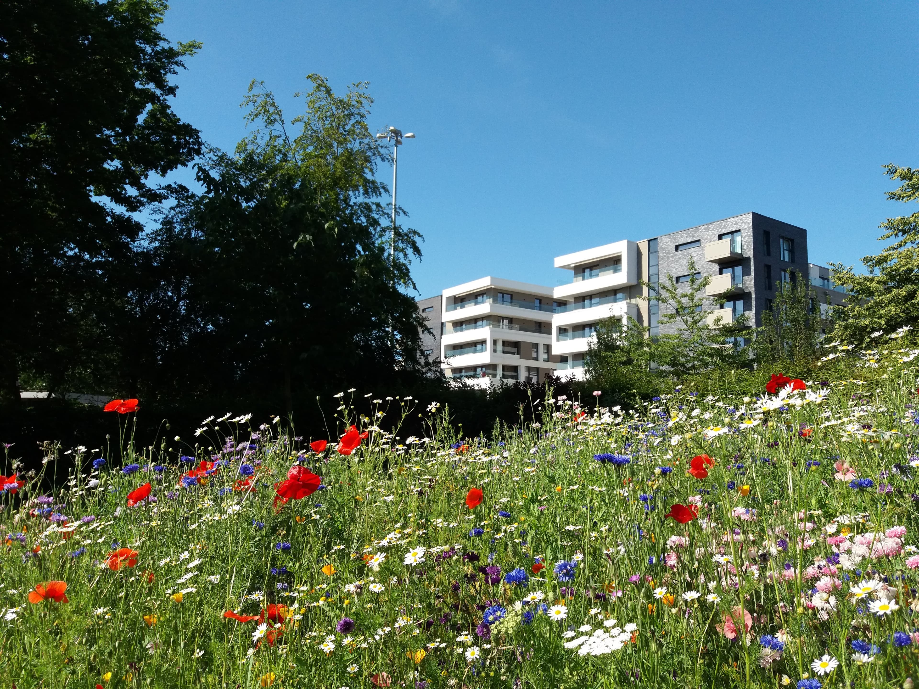 Stevenage, Hertfordshire